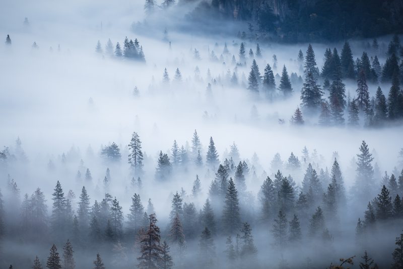 山の中に発生している霧